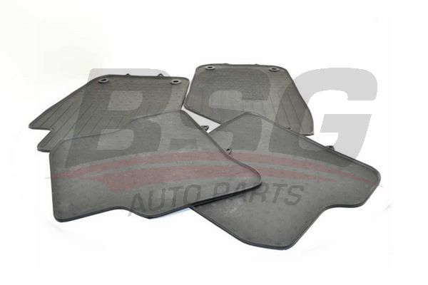 BSG 90934023 Paspas Takımı