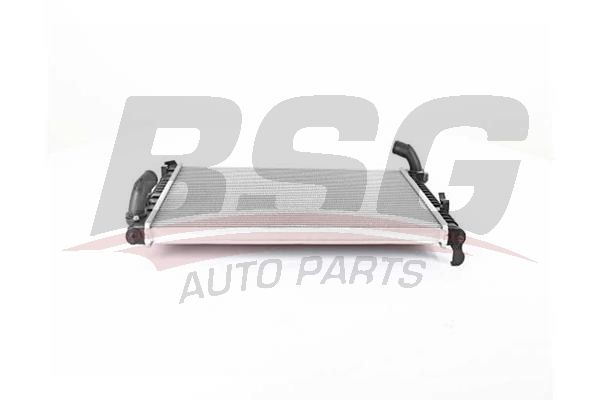 BSG 15520026 Su Radyatörü