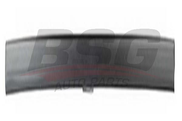 BSG 30924054 Kapı Bandı Ön Sol