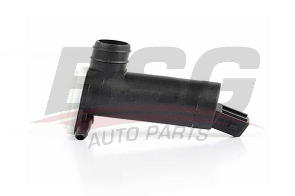 BSG 30850002 Su Fıskiye Motoru