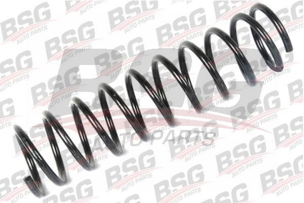 BSG 30305016 Helezon Yayı Arka