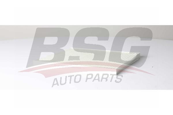 BSG 65145016 Polen Filtresi