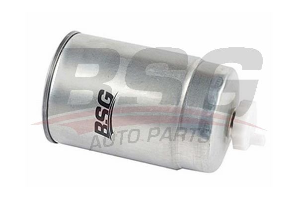 BSG 70130003 Yakıt Filtresi