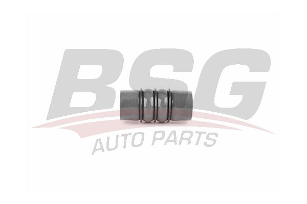BSG 70720200 Turbo Hortumu