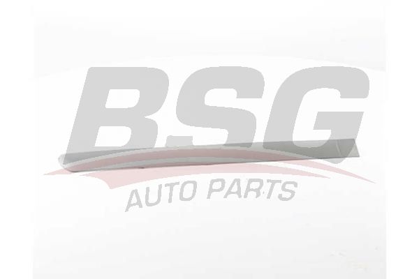 BSG 70925011 Kapı Bandı Arka Sağ