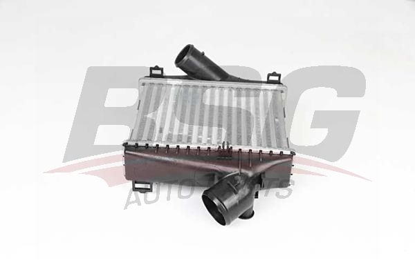 BSG 60535015 Turbo Radyatörü - . Görsel