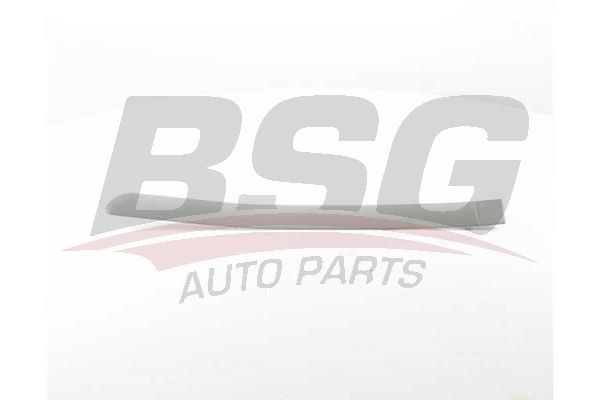 BSG 70925012 Kapı Bandı Arka Sol
