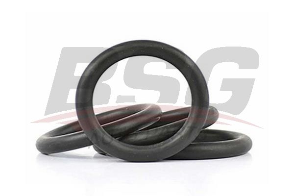 BSG 30922075 Emme Manifold Oringi