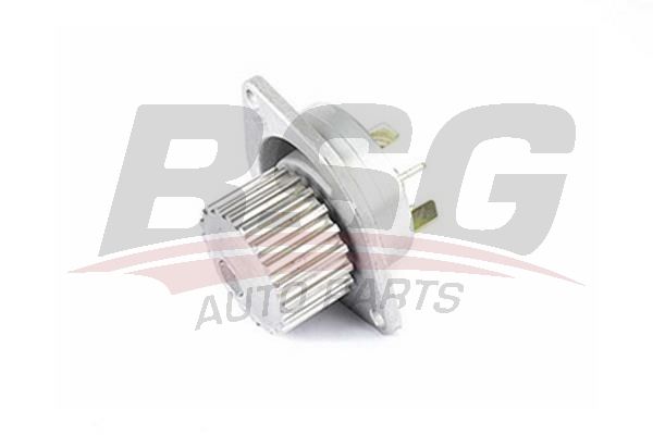 BSG 70500001 Devirdaim
