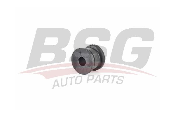 BSG 60700182 Viraj Demir Lastiği Arka