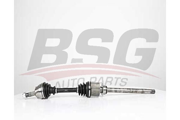 BSG 25350003 Aks Komple Ön Sağ