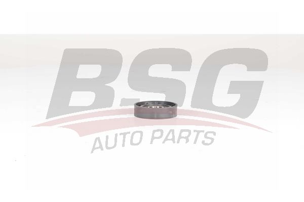 BSG 75615001 V Kayış Gergi Rulmanı - . Görsel