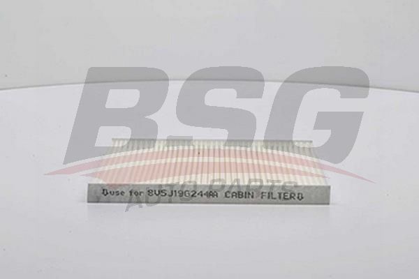BSG 30145008 Polen Filtresi - . Görsel