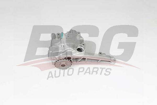 BSG 60101005 Yağ Pompası