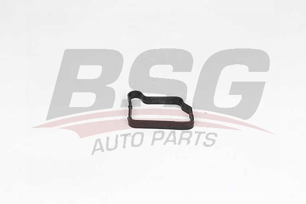 BSG 60109010 Üst Kapak Conta Keçesi