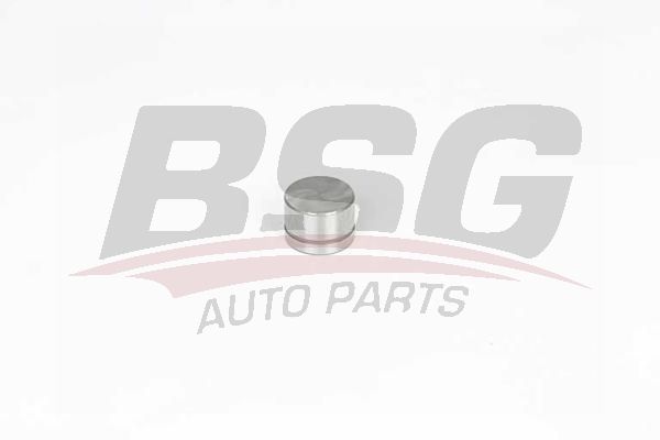 BSG 60122006 Supap Itıcısı