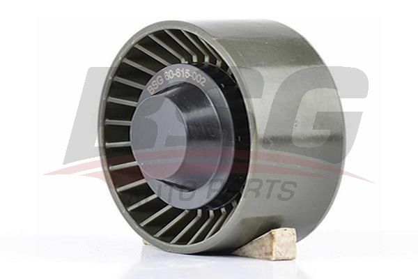 BSG 60615002 V Kayış Gergi Rulmanı
