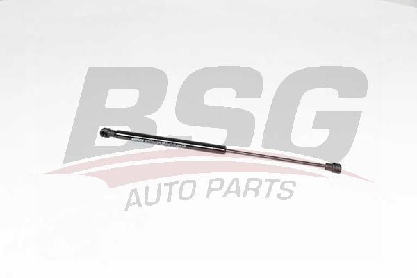 BSG 15980058 Motor Kaput Amortisörü