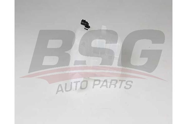 BSG 65550016 Radyatör Yedek Su Deposu
