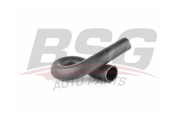 BSG 65720146 Turbo Hortumu