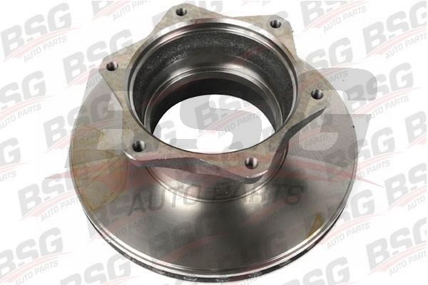 BSG 60210001 Fren Diski Arka