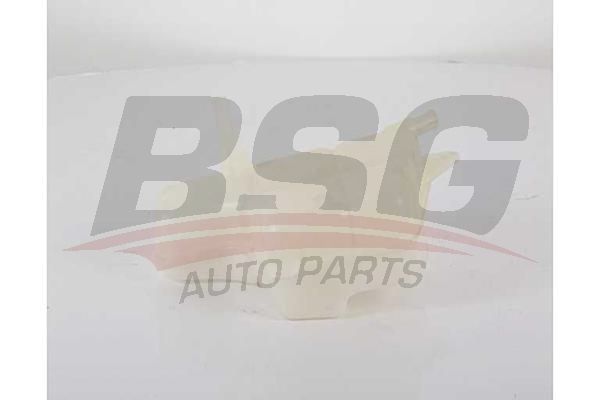 BSG 16550003 Radyatör Yedek Su Deposu