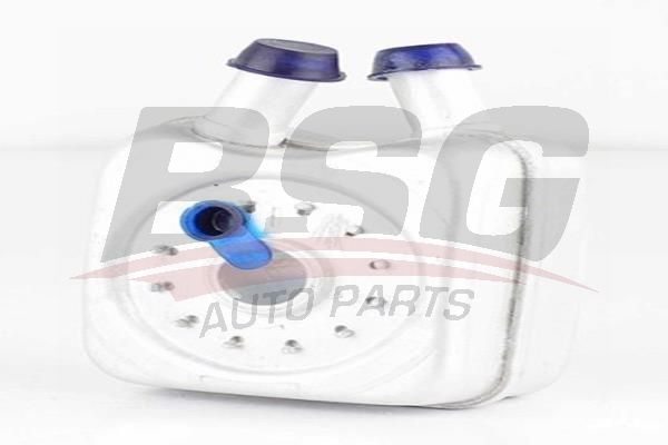 BSG 90506003 Yağ Soğutucusu