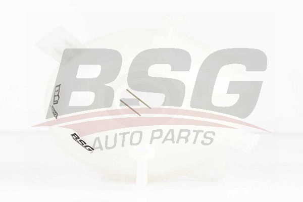 BSG 90550006 Radyatör Yedek Su Deposu