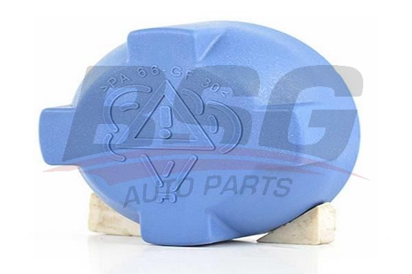 BSG 90551003 Radyatör Yedek Su Depo Kapağı