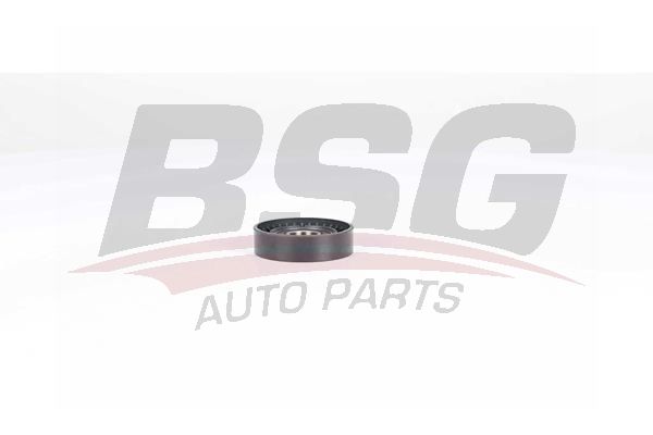 BSG 25615006 V Kayış Gergi Rulmanı
