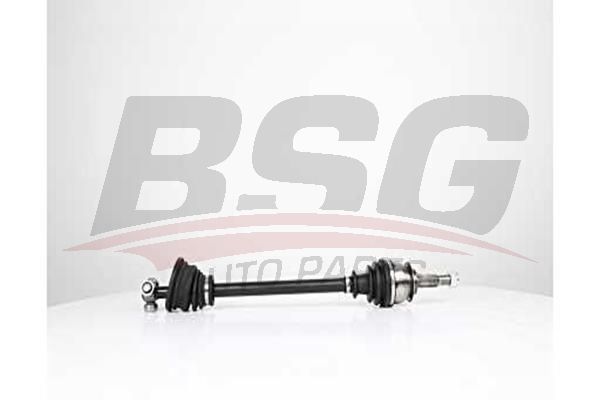 BSG 75350032 Aks Komple Ön Sol - . Görsel
