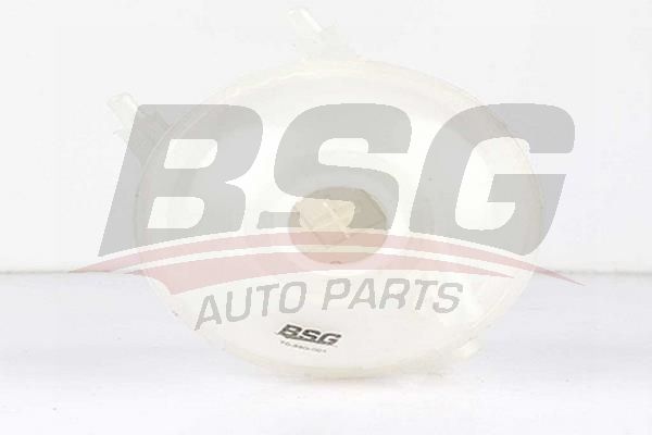 BSG 70550001 Radyatör Yedek Su Deposu - . Görsel