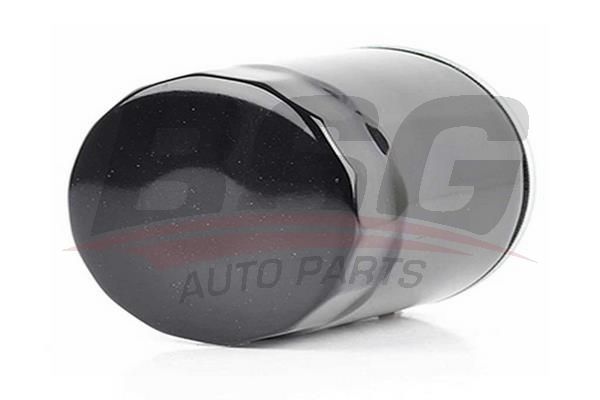 BSG 60130005 Yakıt Filtresi