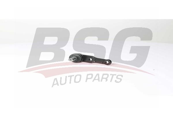 BSG 40310138 Rotil Alt