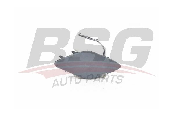 BSG 65922077 Çeki Demir Kapağı Ön