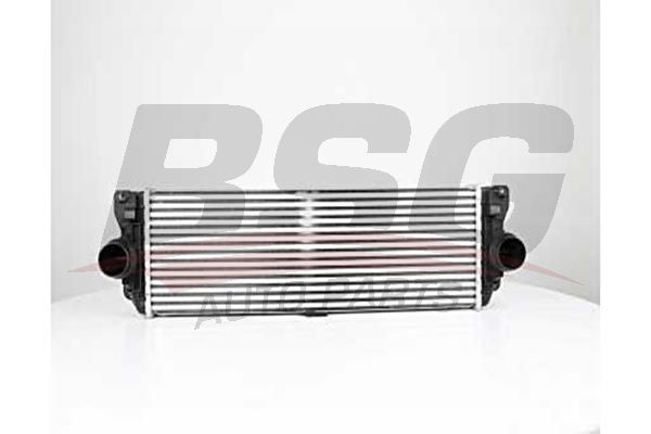 BSG 60535013 Turbo Radyatörü