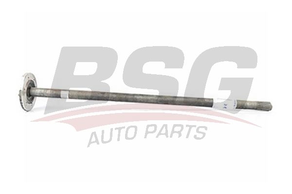 BSG 30470006 Aks Komple Arka