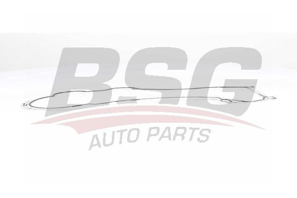 BSG 65116003 Yağ Pompa Contası