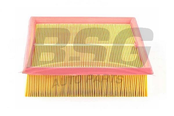 BSG 65135014 Hava Filtresi