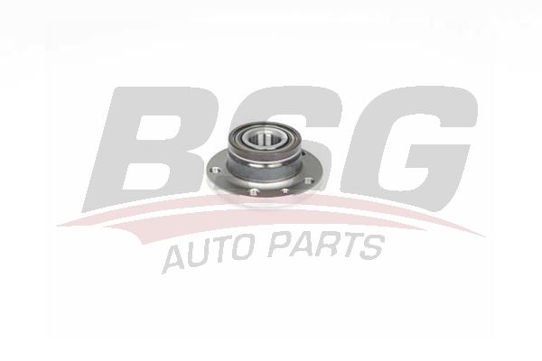 BSG 25325002 Porya Arka