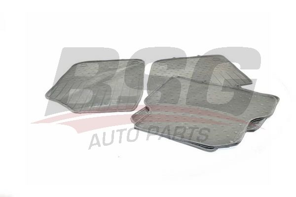 BSG 90934019 Paspas Takımı
