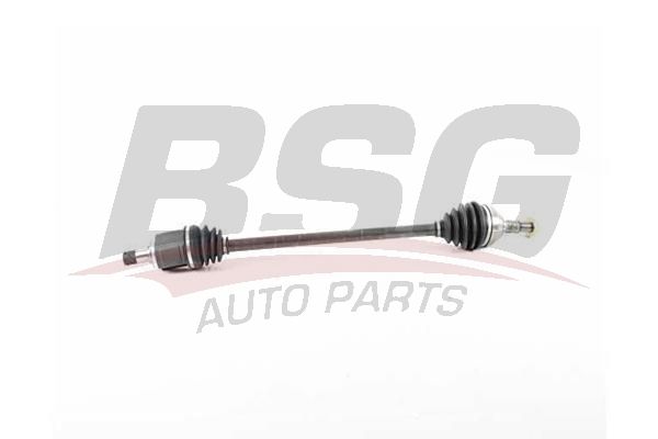 BSG 65350039 Aks Komple Ön Sağ