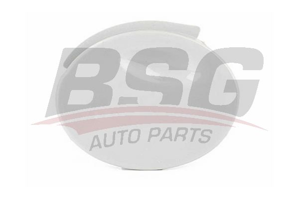BSG 65922064 Çeki Demir Kapağı Ön