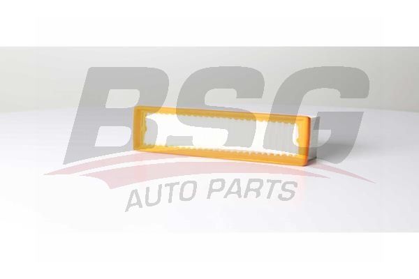 BSG 75135002 Hava Filtresi