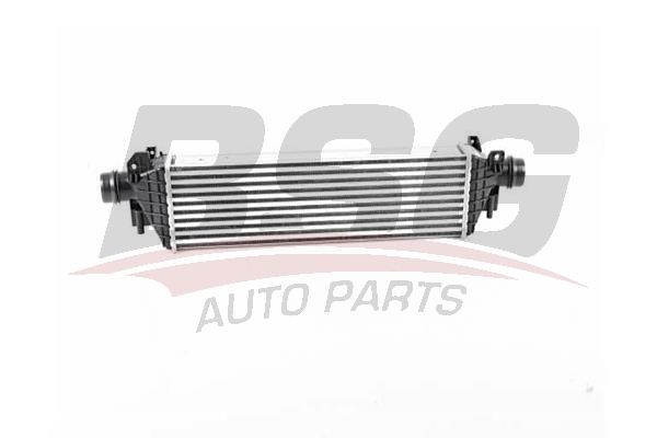 BSG 65535021 Turbo Radyatörü