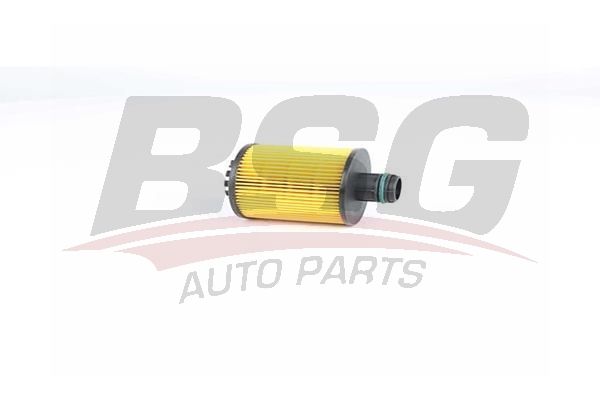 BSG 25140011 Yağ Filtresi