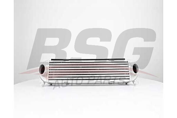 BSG 15535019 Turbo Radyatörü - . Görsel