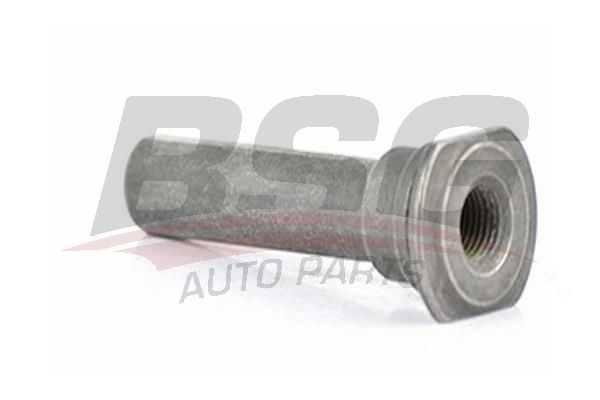 BSG 30251007 Kaliper Burç Takımı Ön