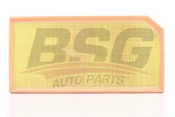 BSG 90135015 Hava Filtresi