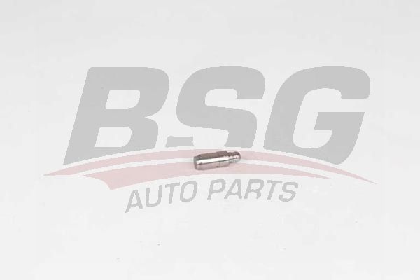 BSG 90122018 Supap Itıcısı
